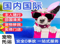 株洲芦淞航空邮寄国际宠物托运 【国